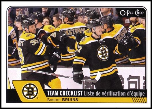 618 Boston Bruins
